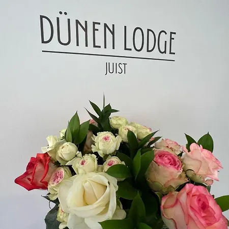 Duenen 1 * 于斯德